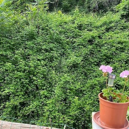 Villa Serenice - F2 Au Calme, Climatise, Wifi Et Parking Gratuit Eksteriør billede