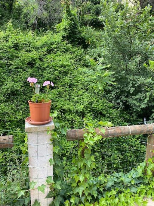 Villa Serenice - F2 Au Calme, Climatise, Wifi Et Parking Gratuit Eksteriør billede